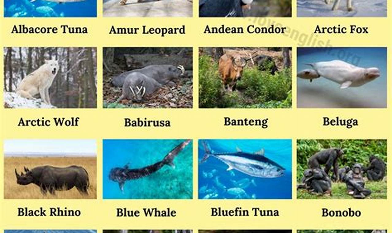 How Many Species Are Endangered 2024