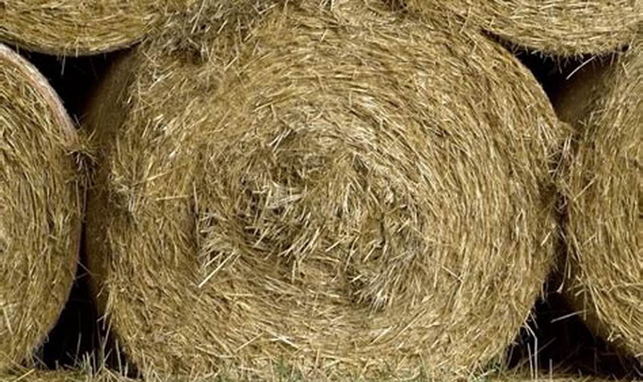 How Much Does A Round Bale Of Hay Cost 2024