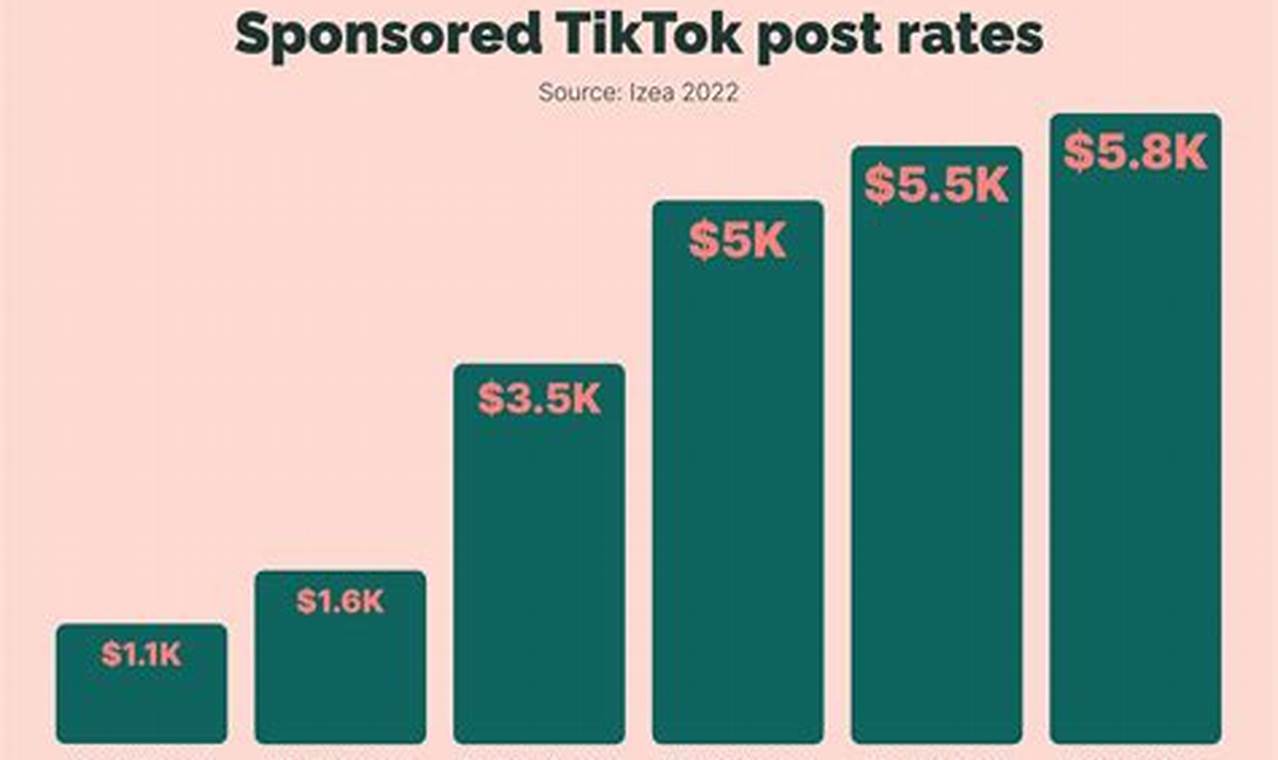How Much Tiktok Pay In Usa 2024 A Month