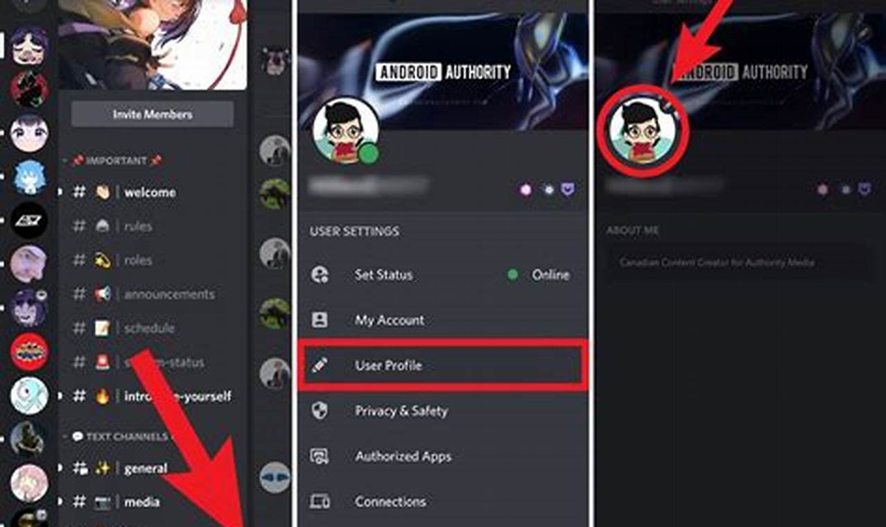 How To Change Your Profile Picture On Discord Mobile 2024