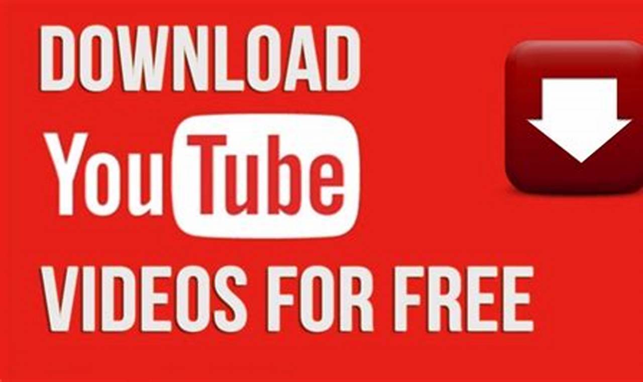 How To Download Videos From Youtube 2024