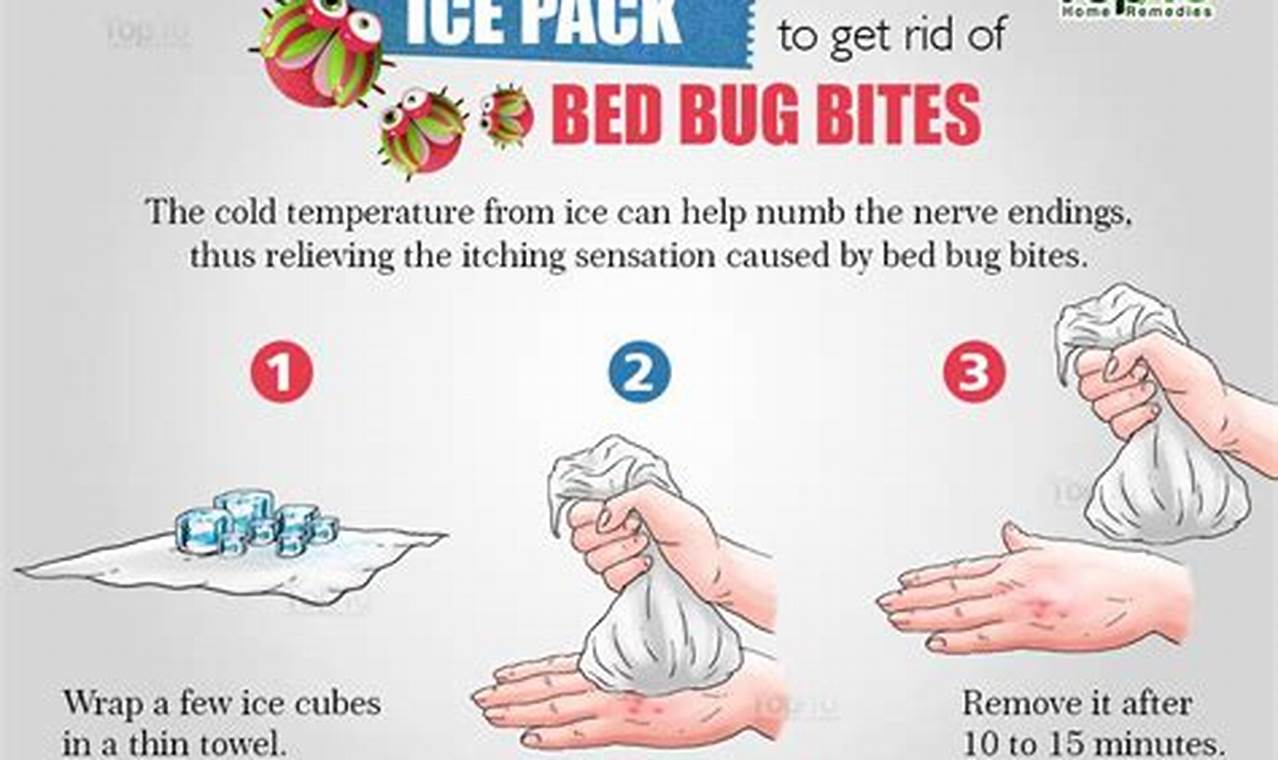 How To Get Rid Of Bed Bug Bites