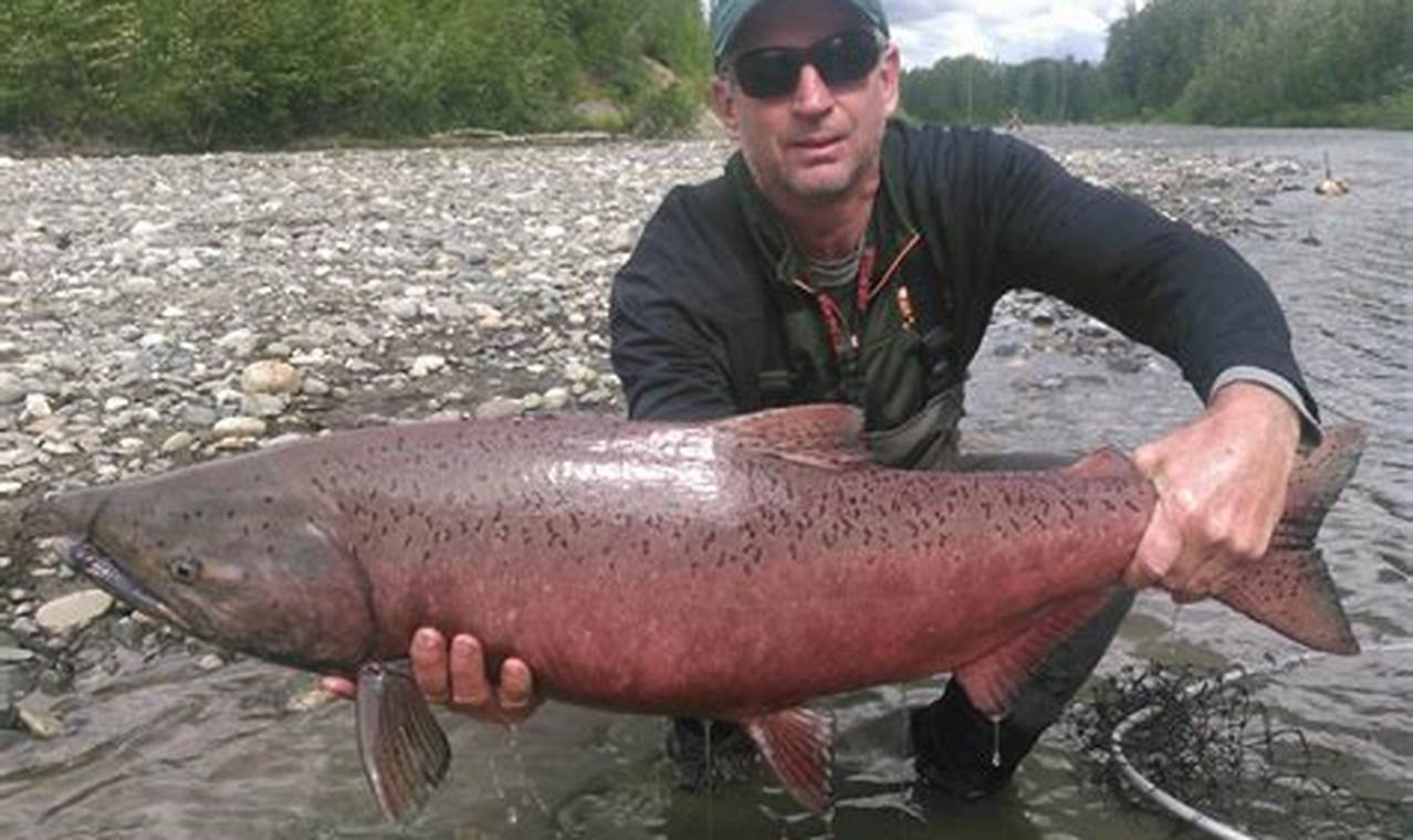 How To Get To King Salmon Alaska