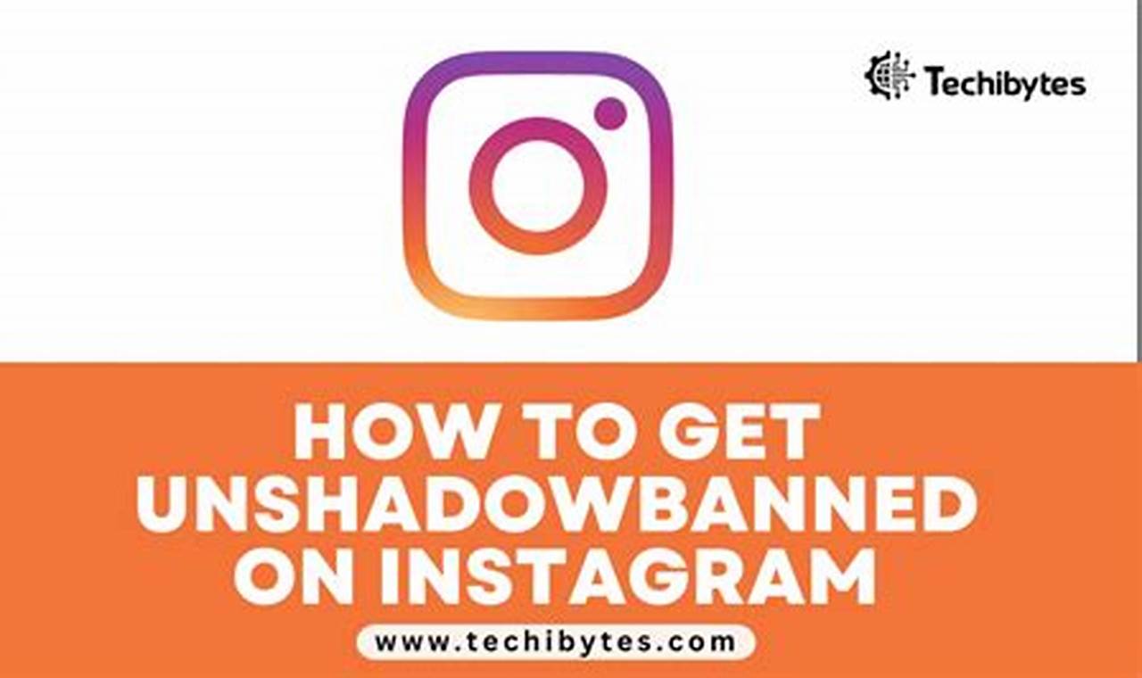 How To Get Unshadowbanned On Instagram 2024