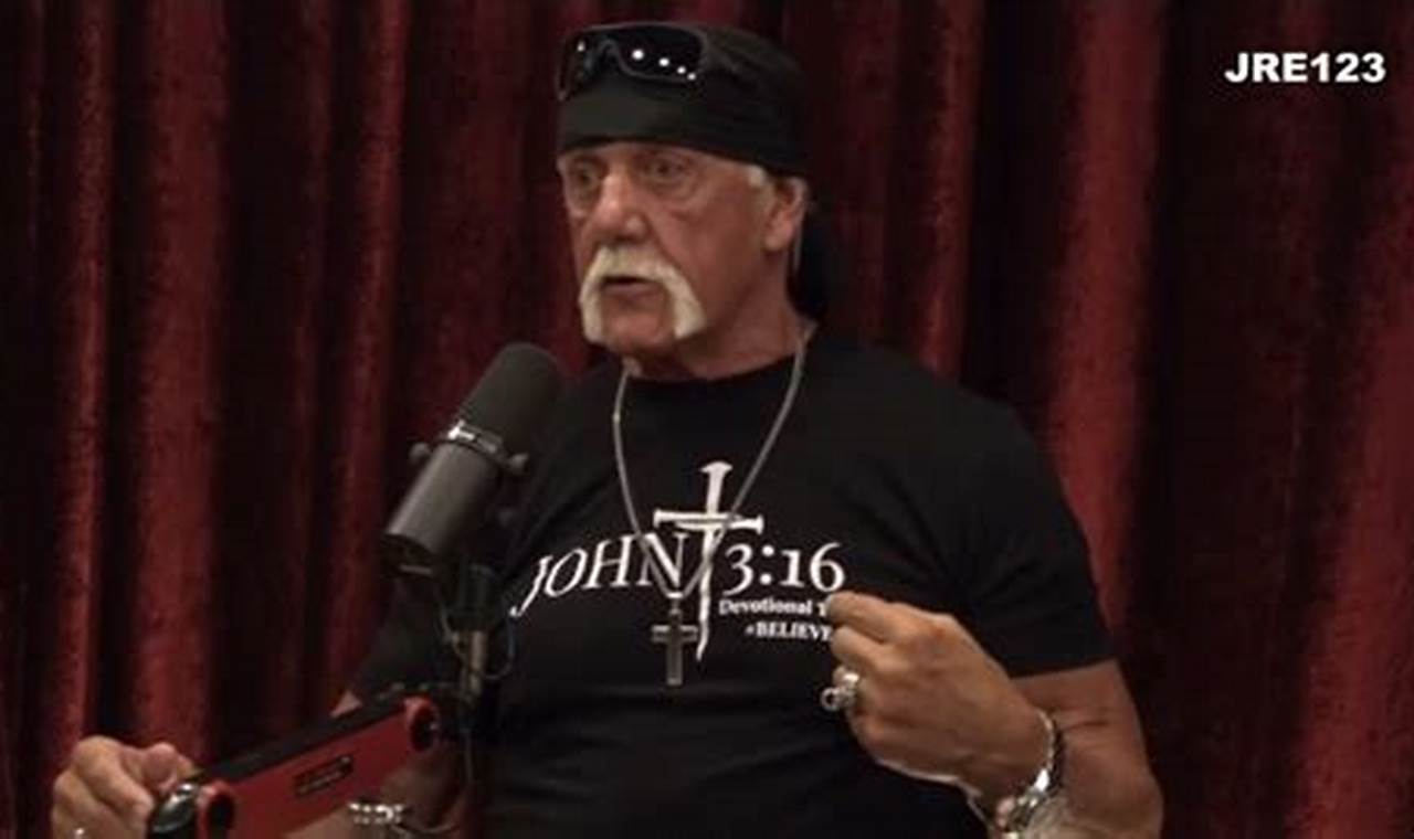 Hulk Hogan 2024