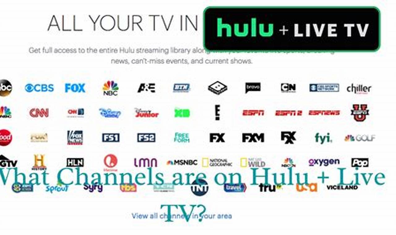 Hulu Channel Lineup 2024