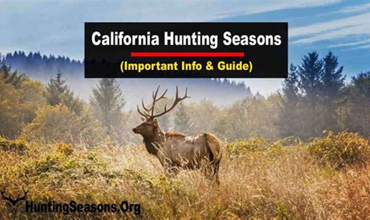 Hunting Seasons California 2024