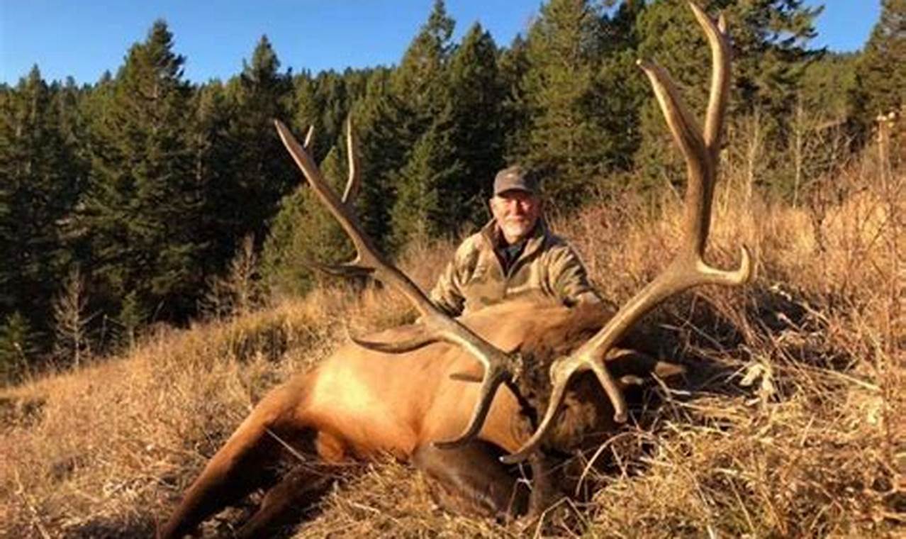 Idaho Elk Season 2024