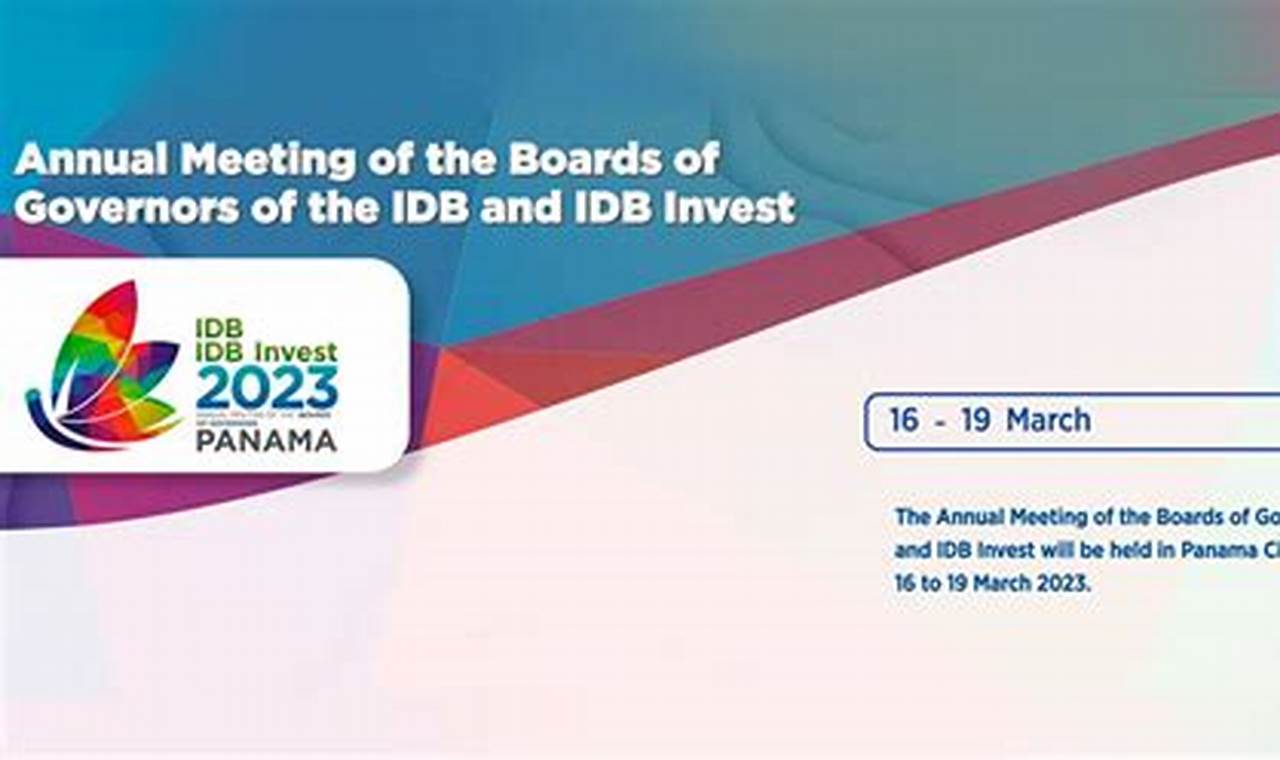 Idb Annual Meeting 2024