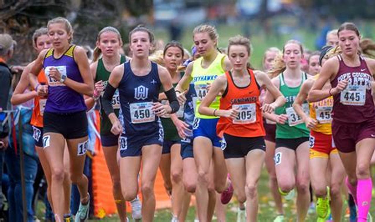 Ihsa Cross Country State Meet 2024