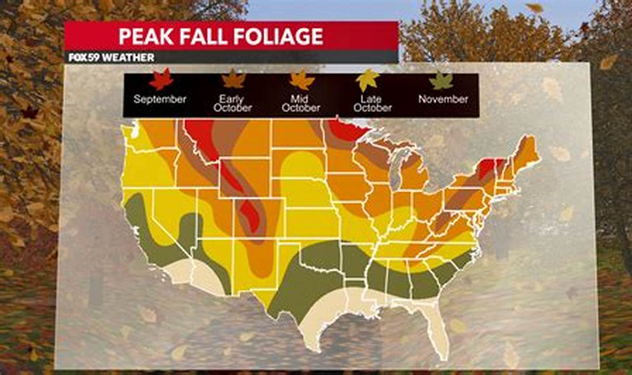 Indiana Peak Fall Foliage 2024