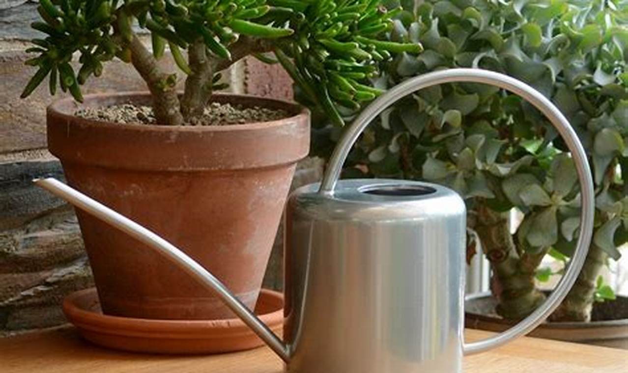 Indoor Plant Watering Can
