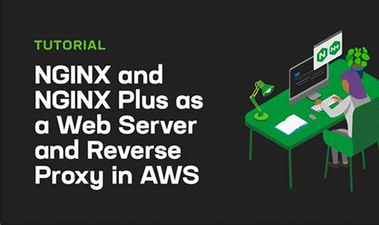 Install Nginx Amazon Linux 2024