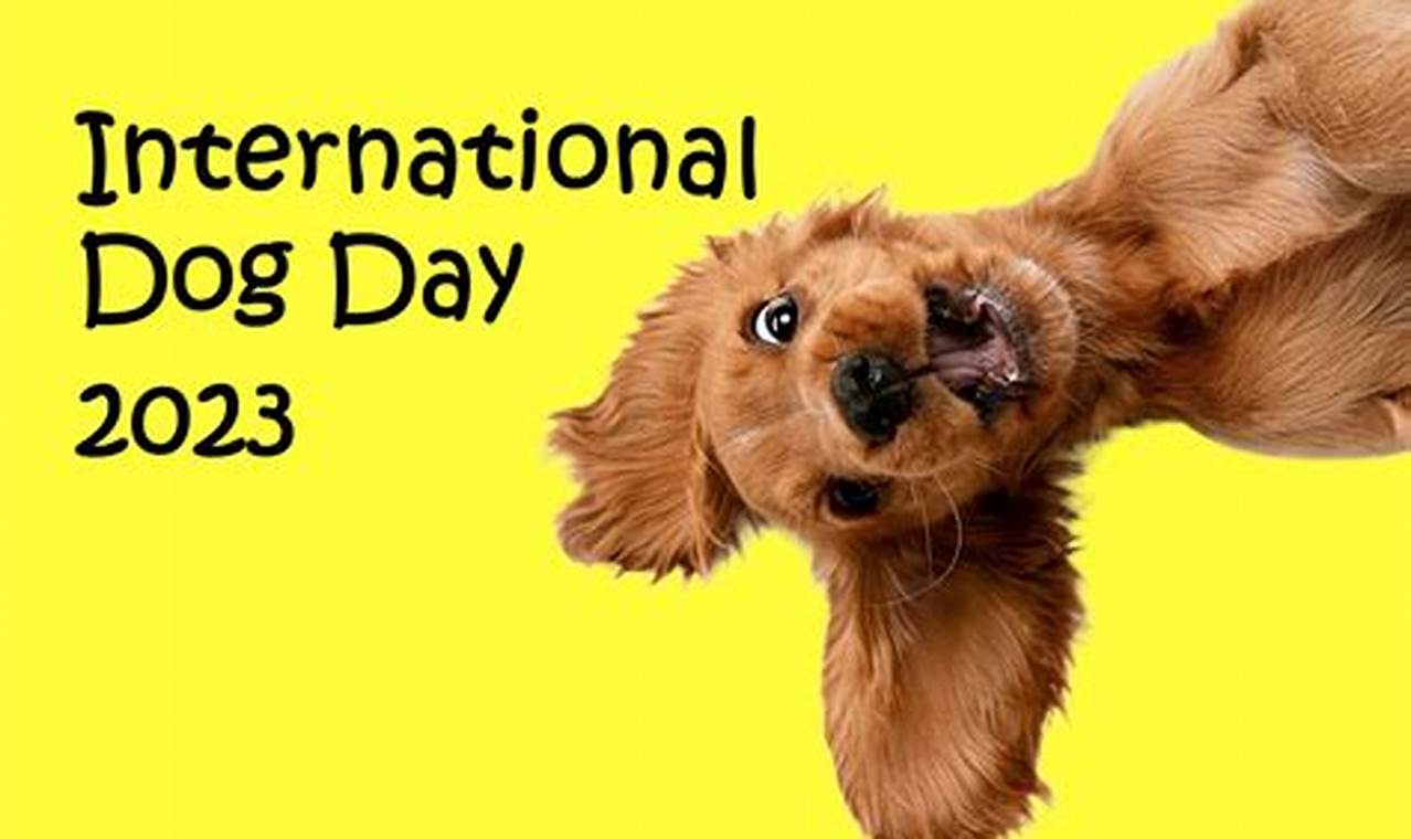International Dog Day 2024 Date Of