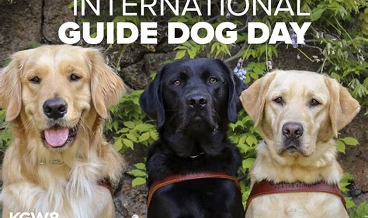 International Guide Dogs Day 2024