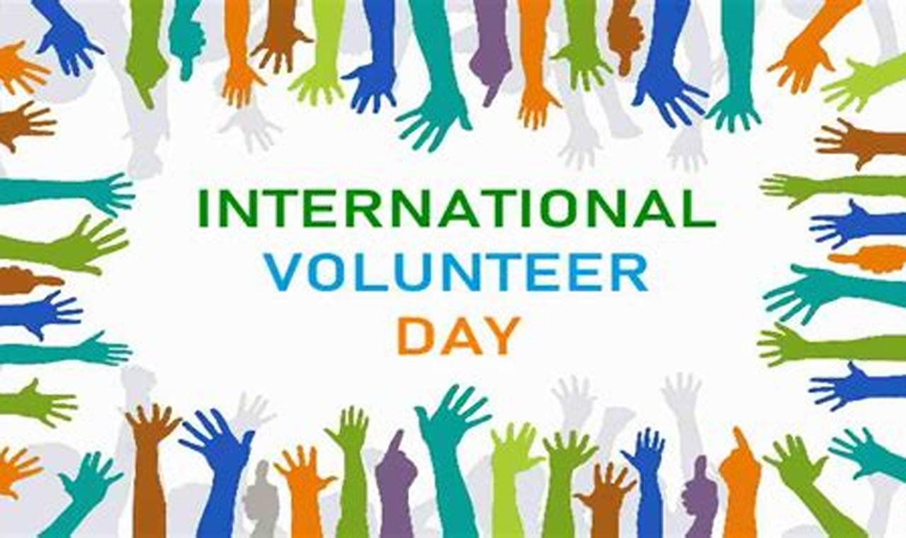 International Volunteer Day 2024 Usa