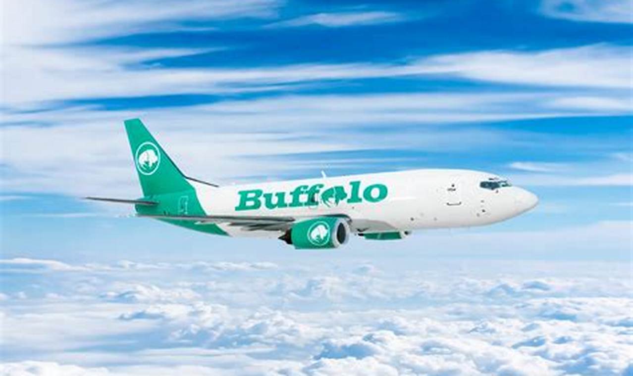 Is Buffalo Airways Still In Business 2024