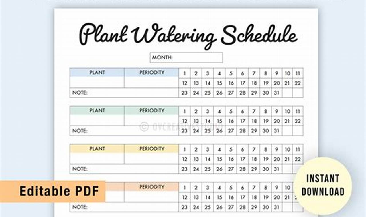 Ity Of Plano Watering Schedule 2024 Schedule