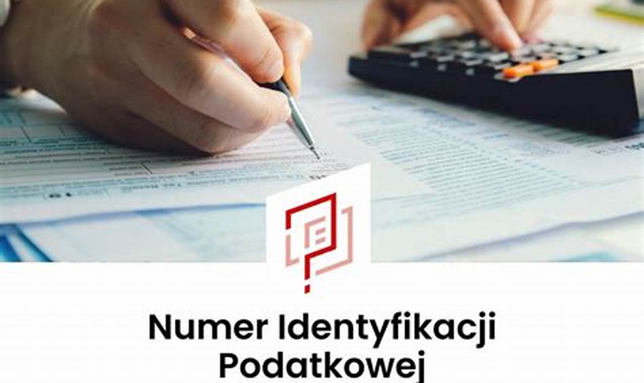 Jak Uzyskać Numer Identyfikacji Podatkowej Nip Dokument