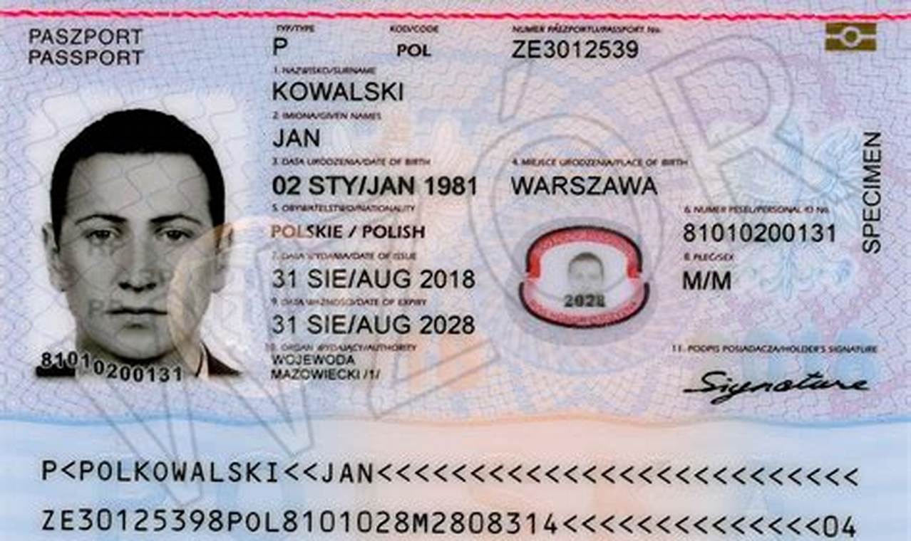 Jak Wygląda Dokument Potwierdzający Polski Pesel Obcokrajowca