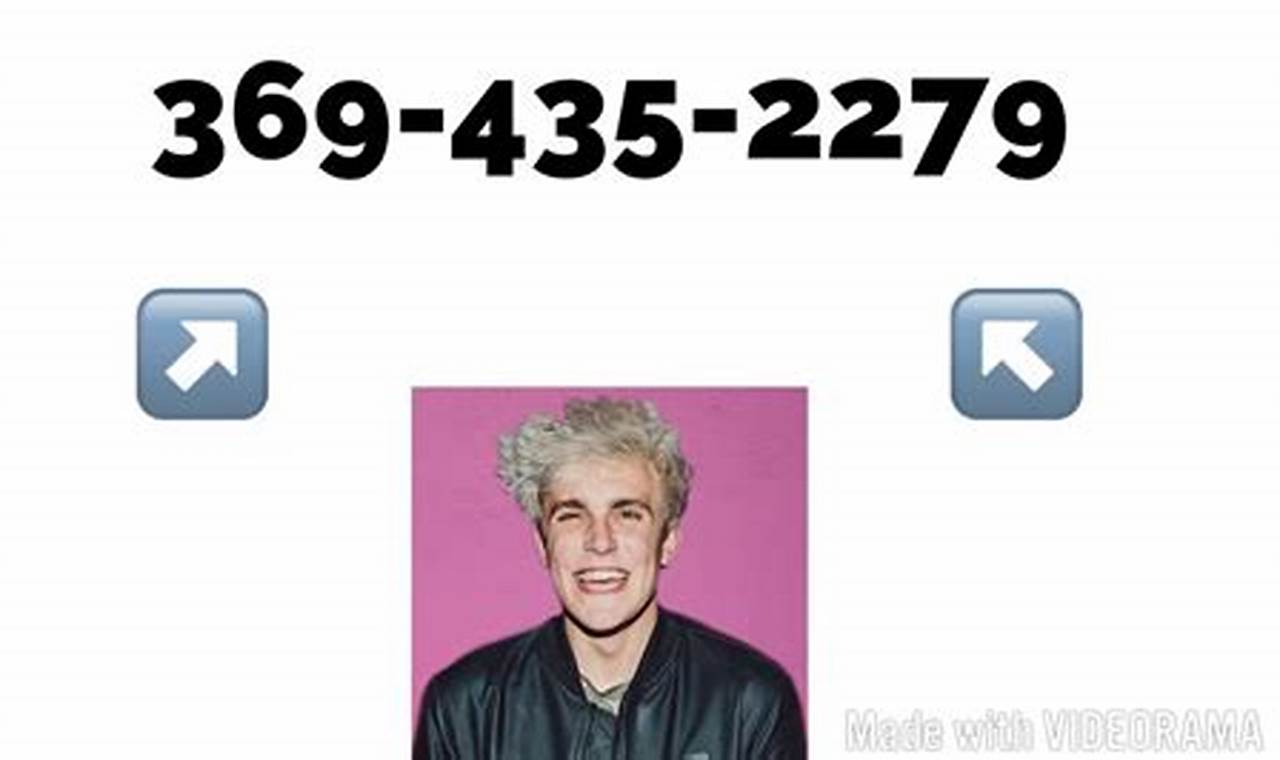 Jake Paul'S Phone Number 2024
