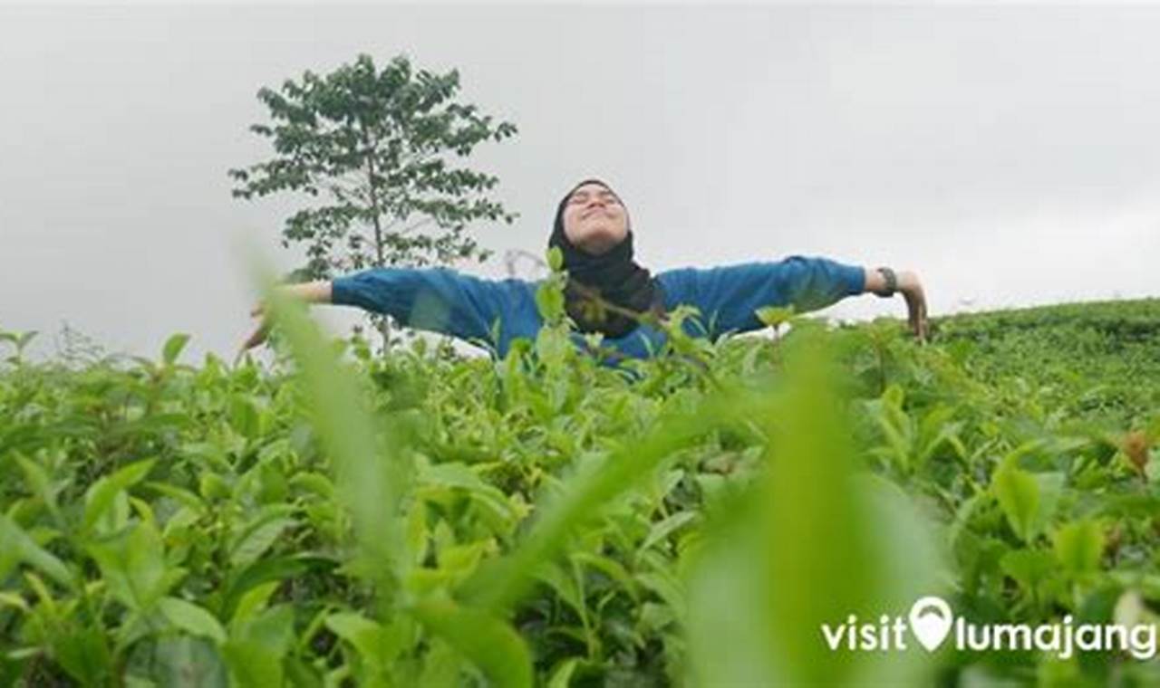 Jalan-Jalan Hemat di Yogyakarta: 8 Tips Liburan Seru Tanpa Bikin Kantong Jebol!