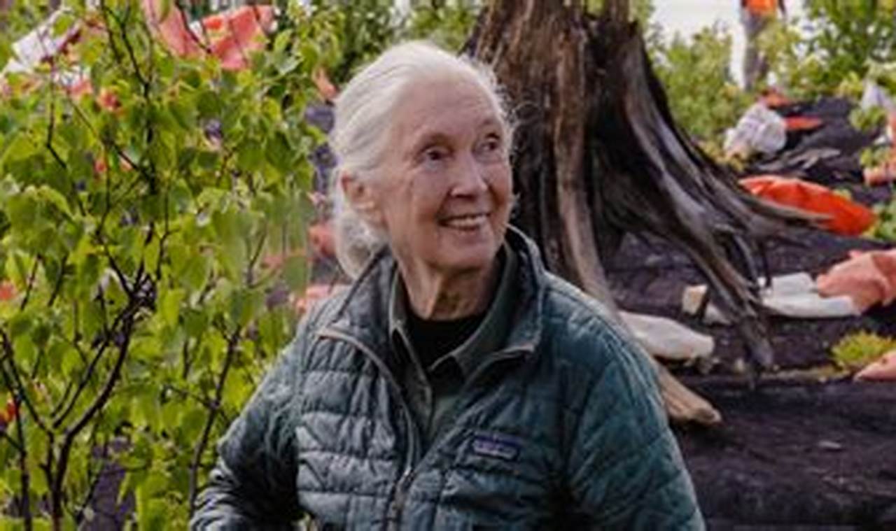 Jane Goodall Denver 2024