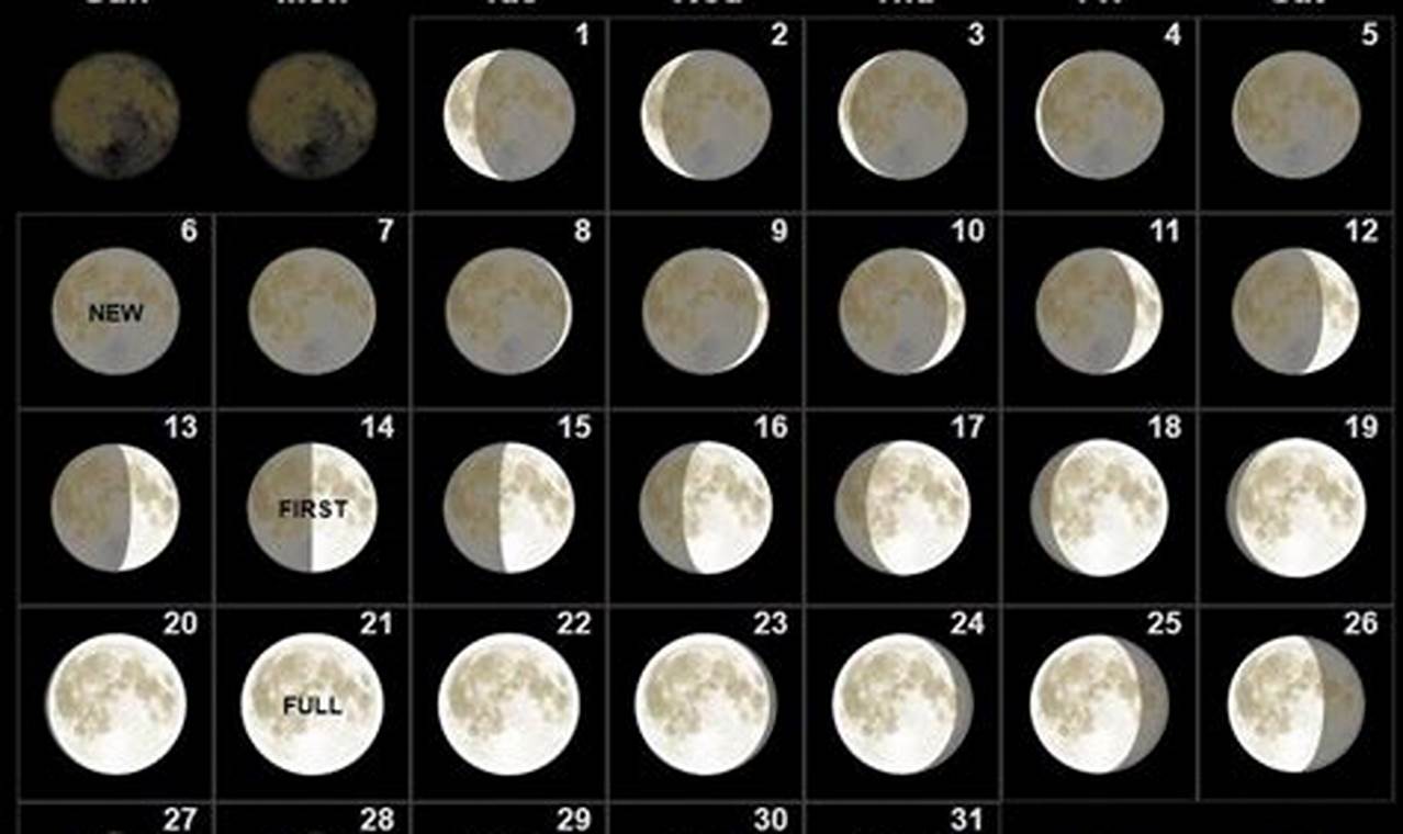January Moon Phase 2024