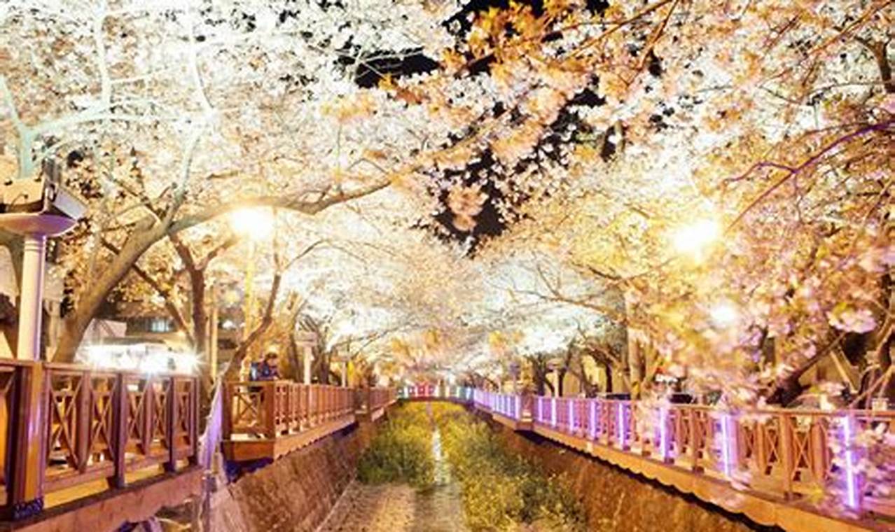 Jinhae Cherry Blossom Festival