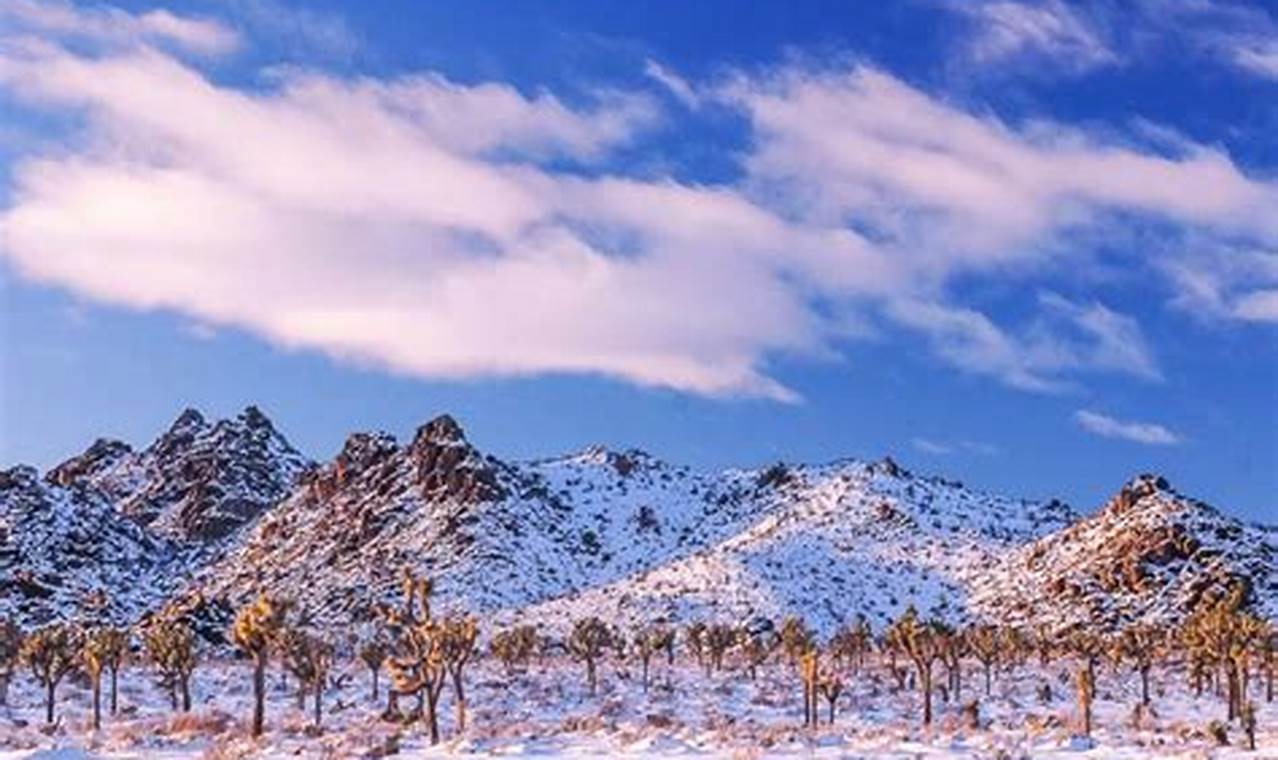 Joshua Tree Weather October 2024