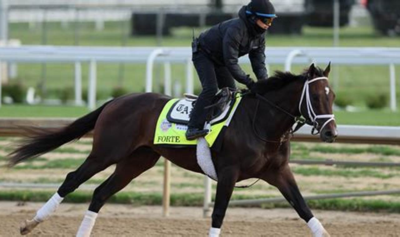 Kentucky Derby 2024 Contenders Odds And News
