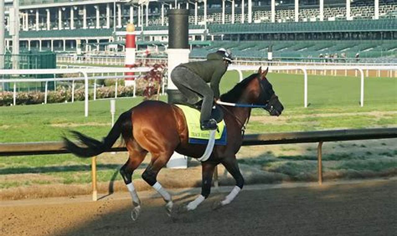 Kentucky Derby 2024 Contenders Odds And Tips