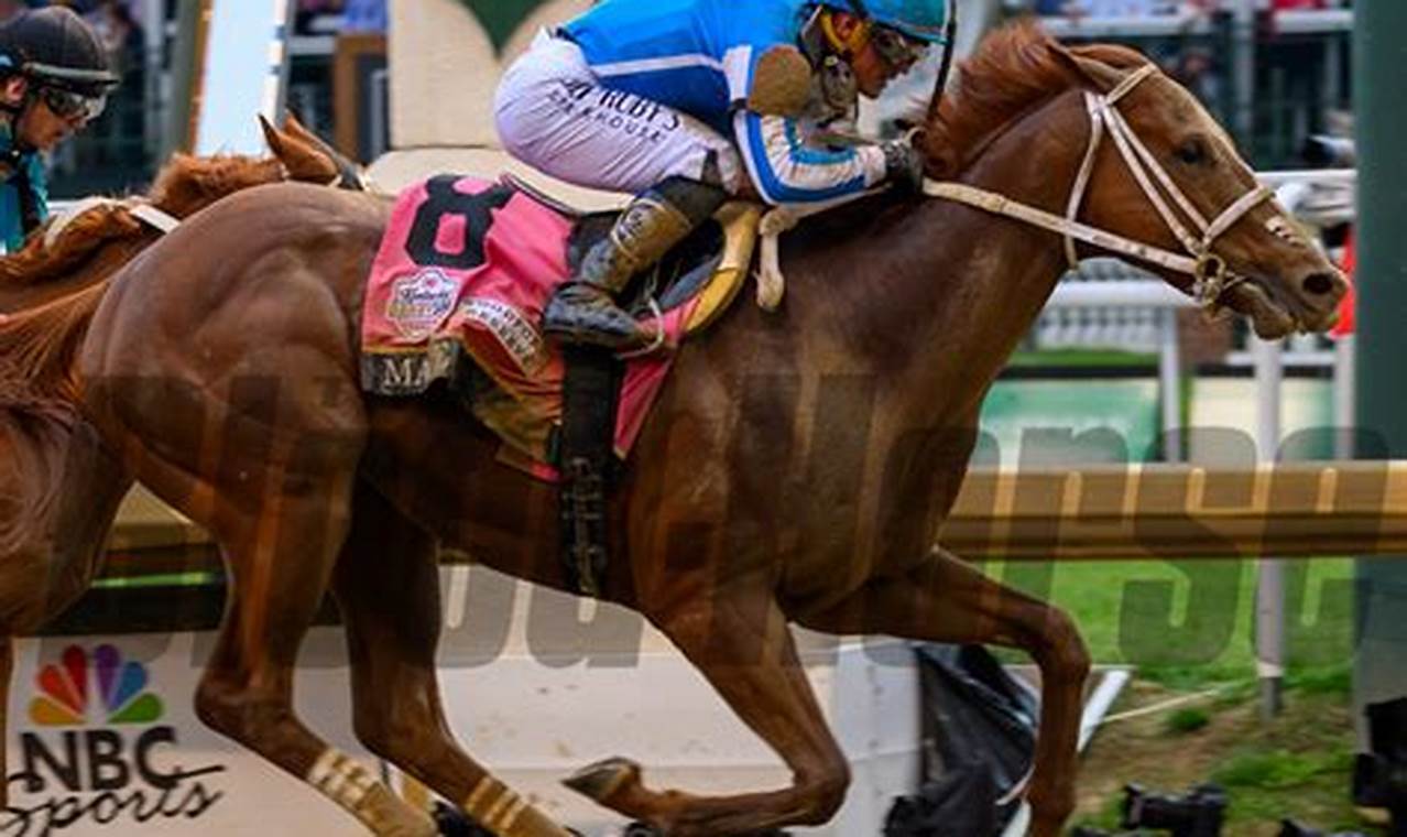Kentucky Derby 2024-24 Prep Races Bloodhorse