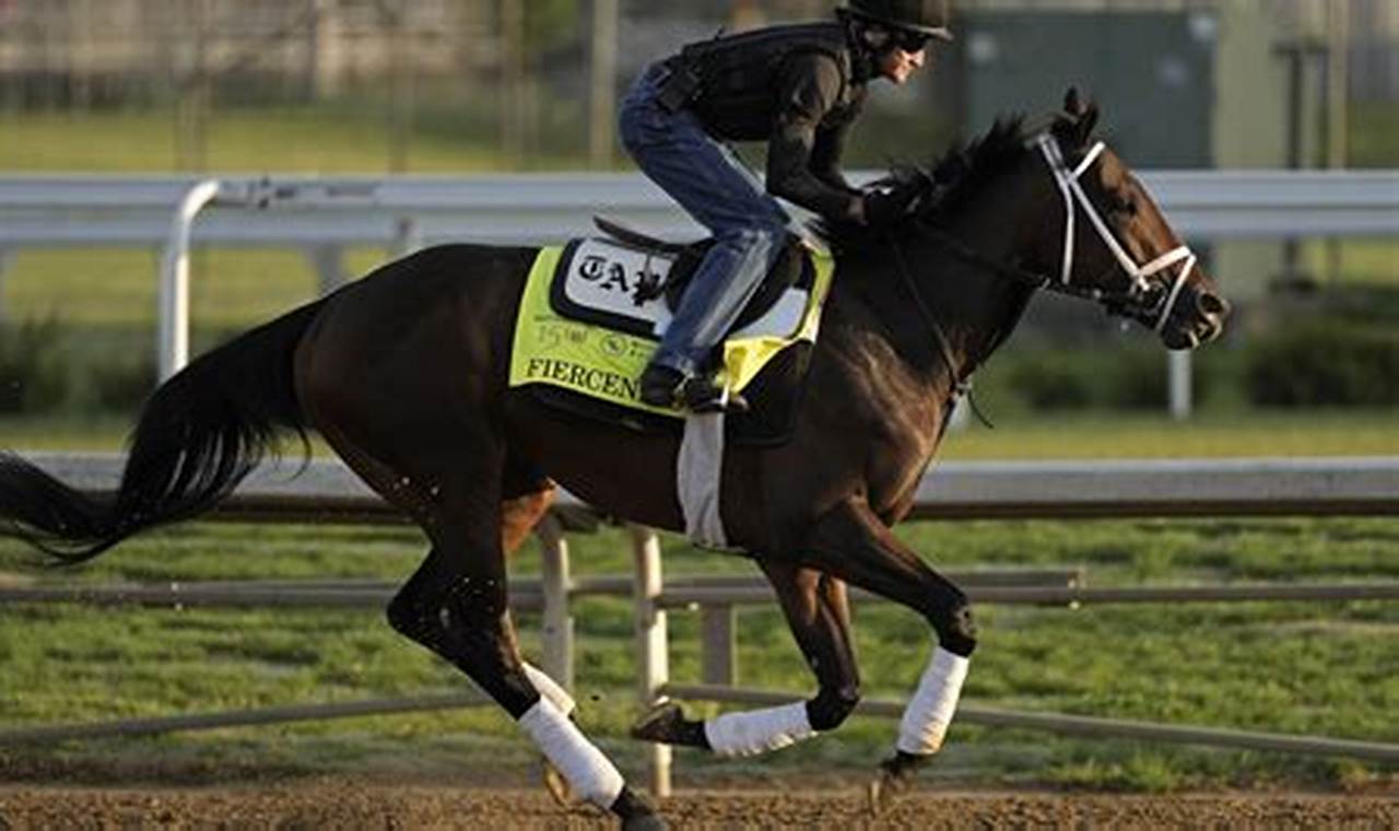 Kentucky Derby Horses 2024 Euthanized