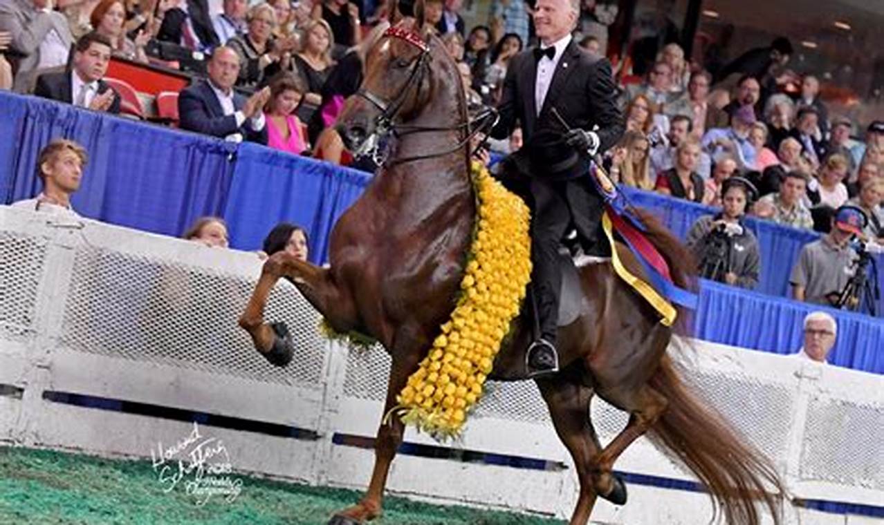 Kentucky Horse Events 2024