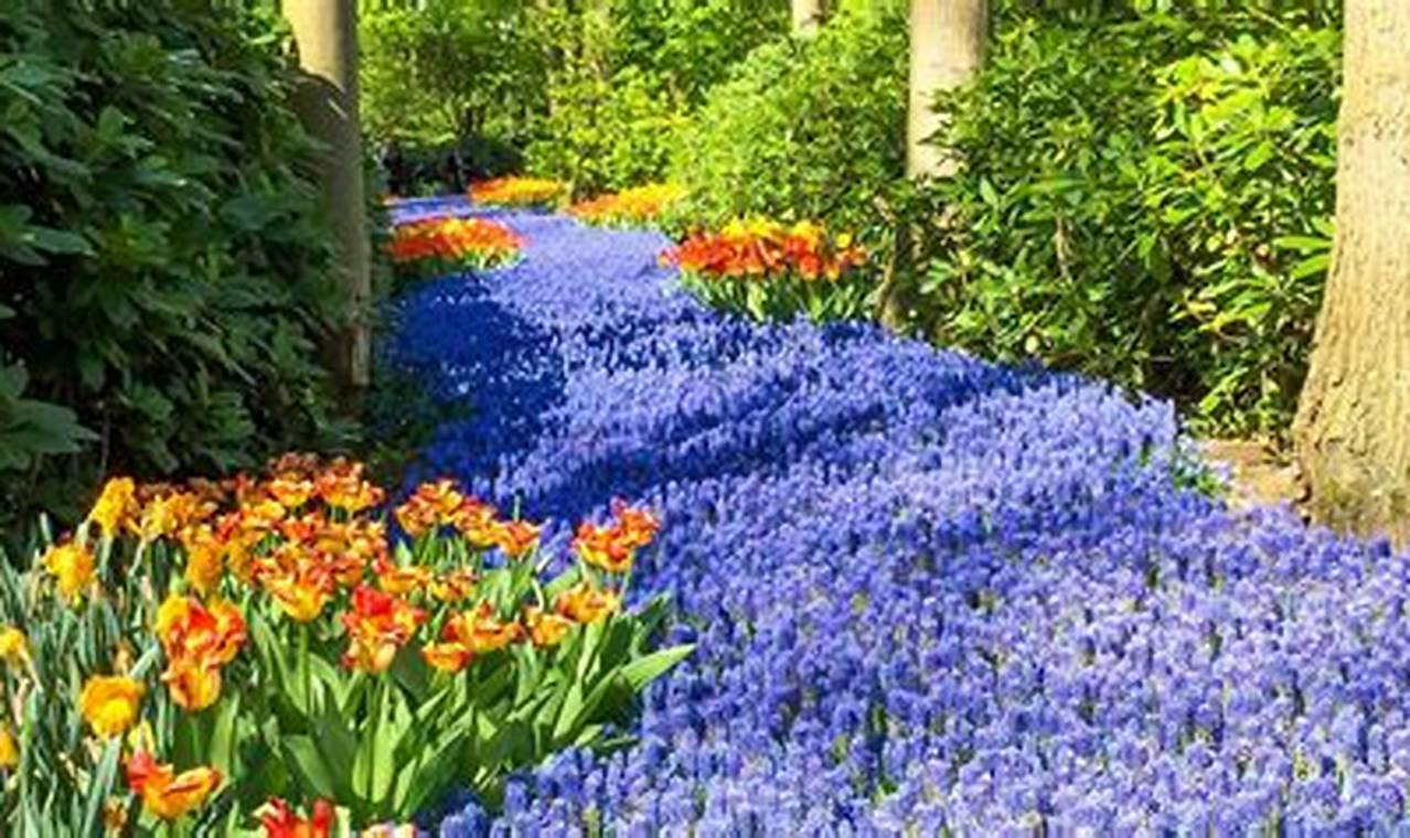 Keukenhof Tulip Gardens 2024