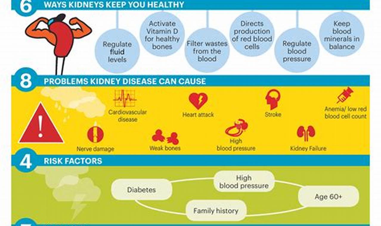 Kidney Awareness Month 2024