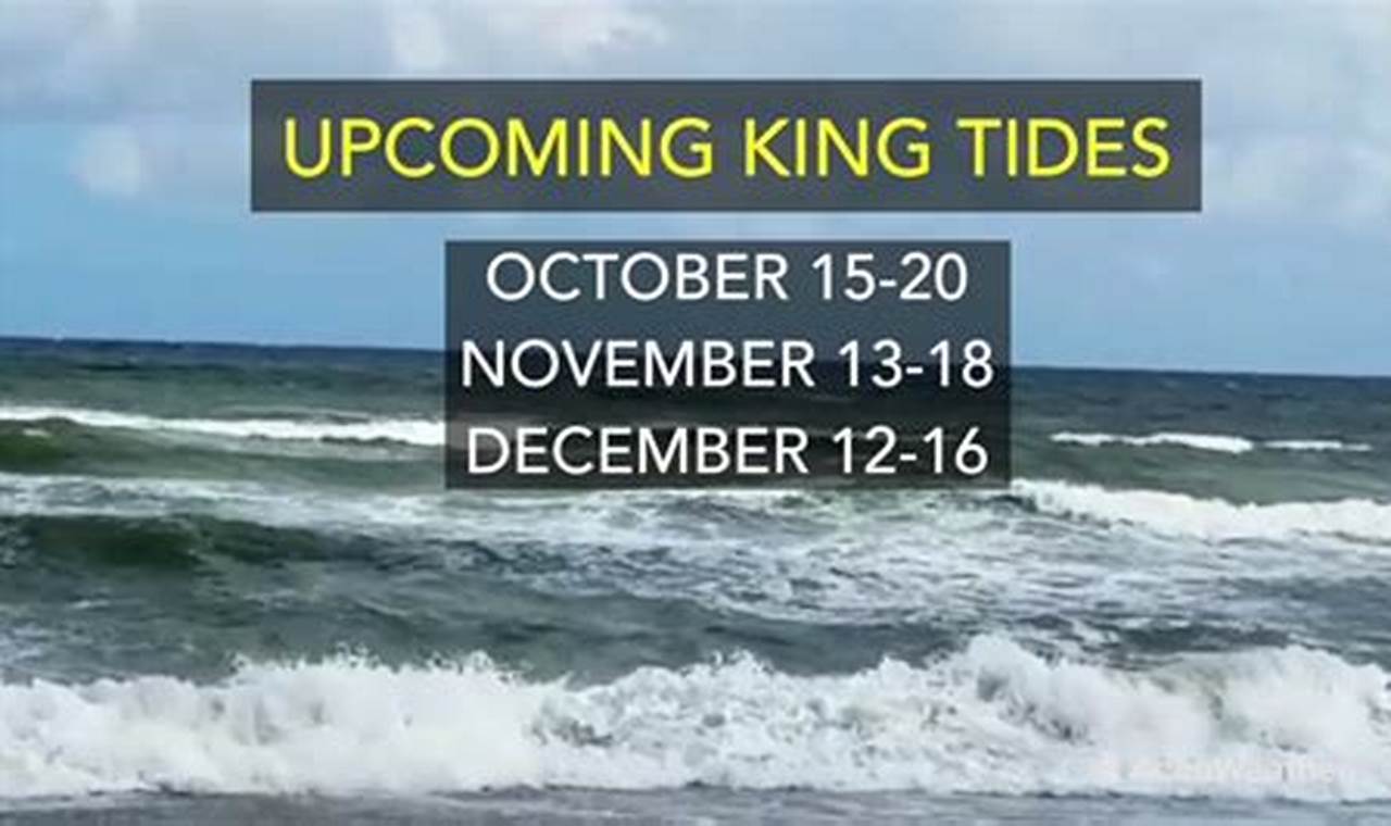 King Tide Florida 2024