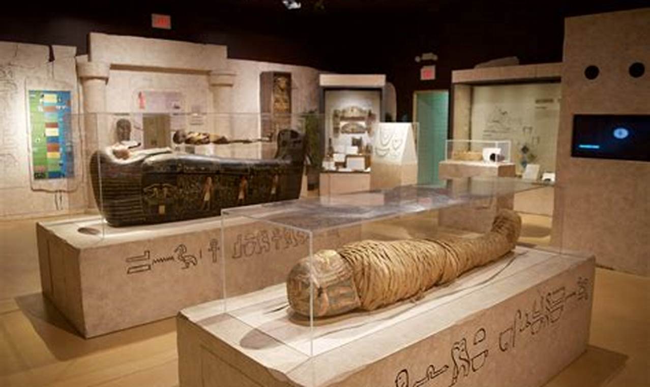 King Tut Exhibit 2024 Schedule