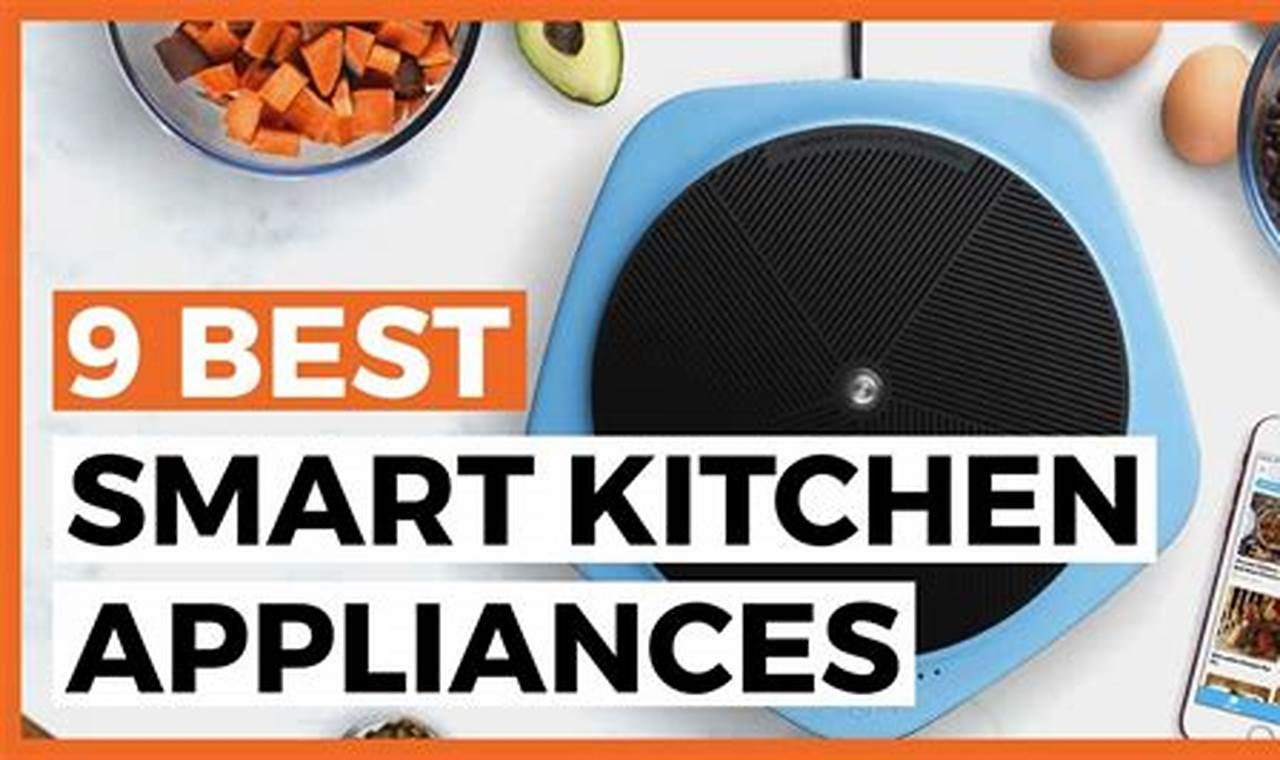 Kitchen Appliance Reviews 2024