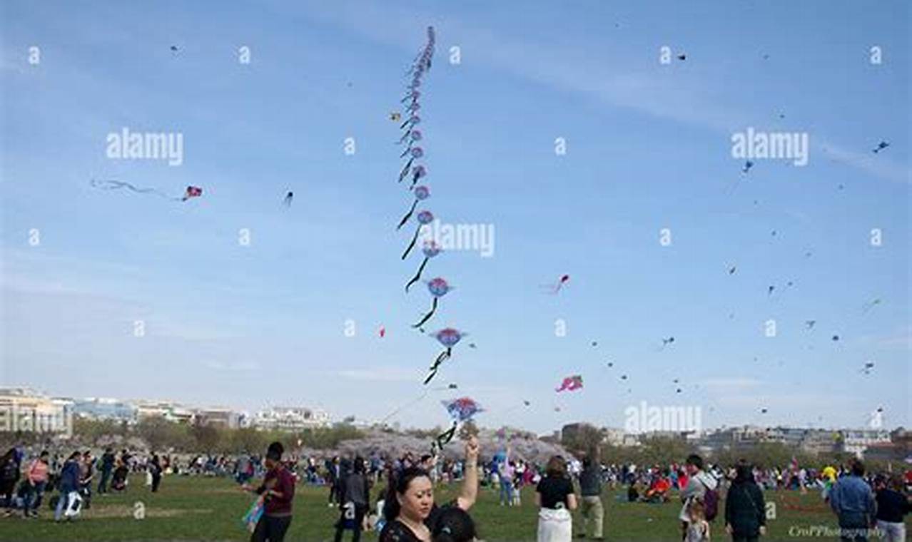 Kite Flying Festival Dc