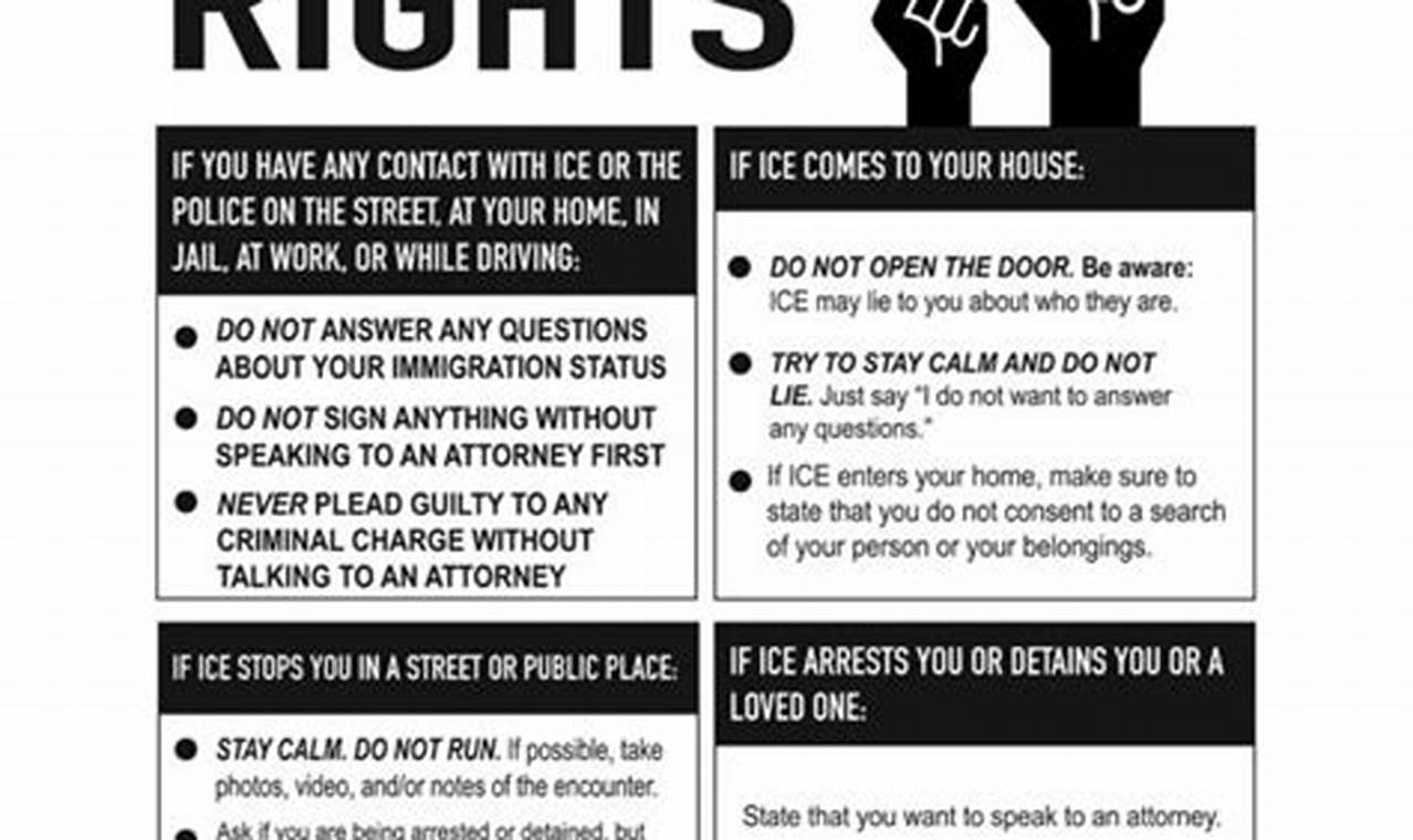 Know Your Rights Poster 2024