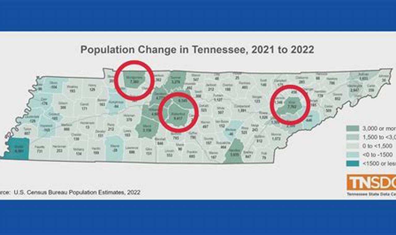 Knoxville Population 2024