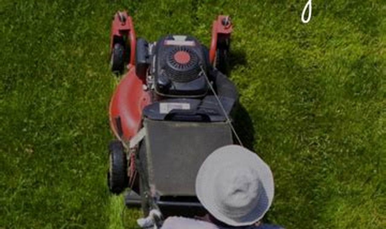 Labor Day Lawn Mower Sales 2024