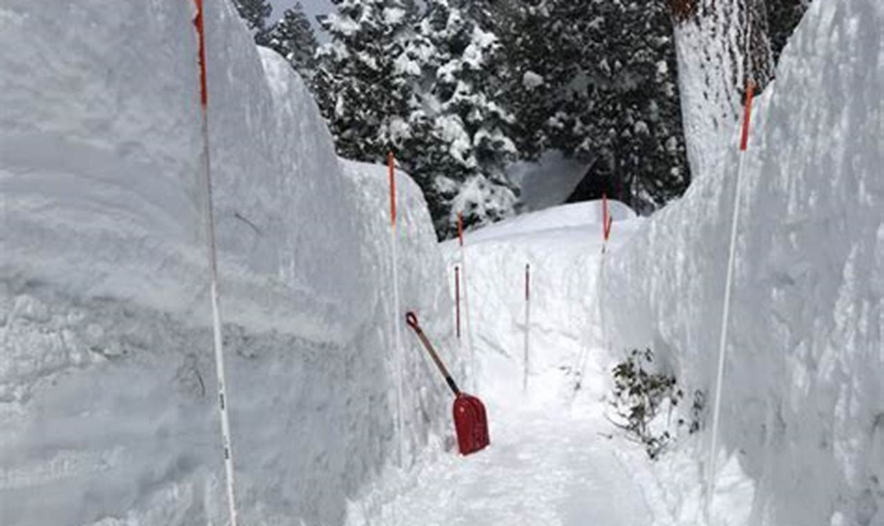 Lake Tahoe 2024 Snow