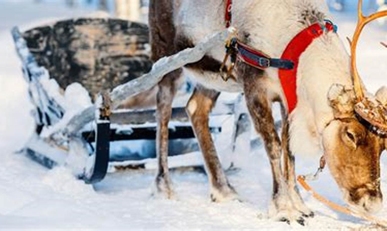 Lapland Holidays Feb 2024