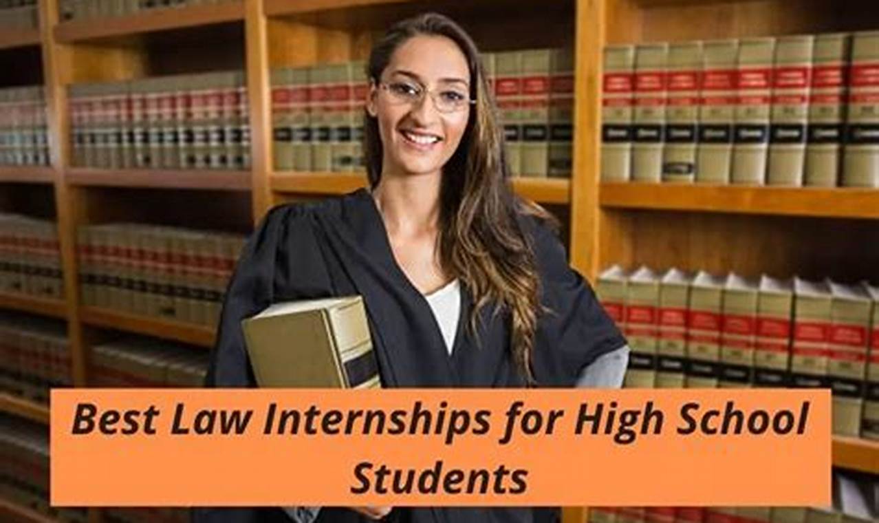 Law Internships Summer 2024