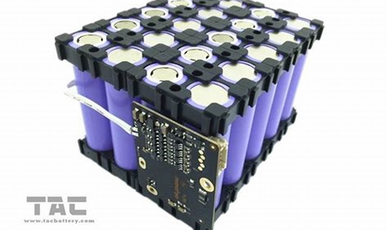 Li Ion Battery Pack Electric Vehicle Battery