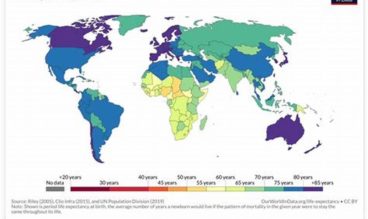 Life Expectancy For 2024