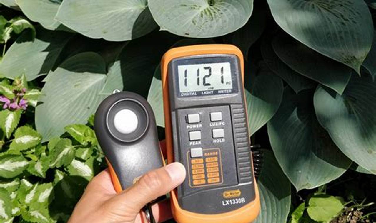 Light Meter For Plants